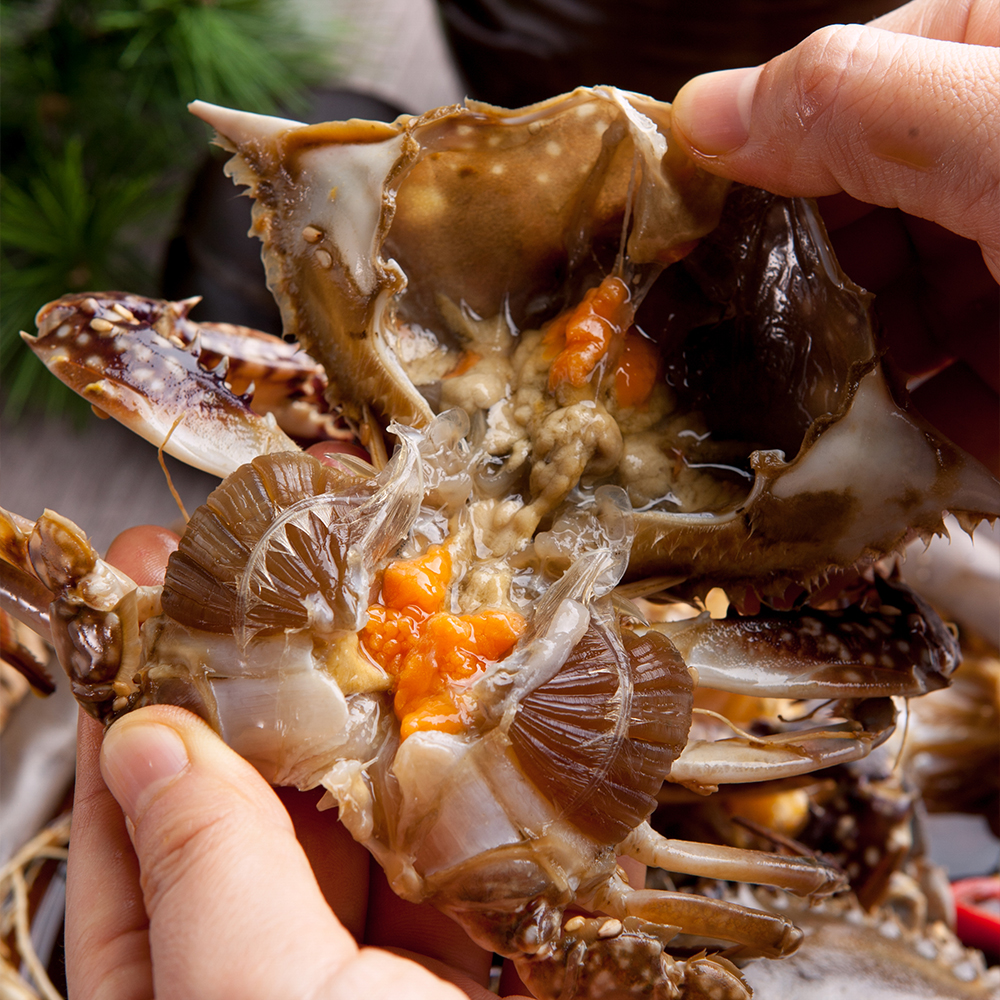 연평도 알배기 간장게장 2마리 1kg